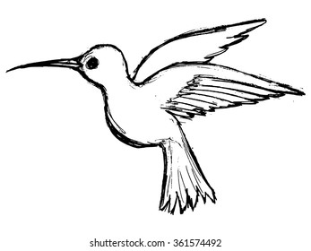 hand drawn, grunge, sketch illustration of hummingbird