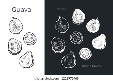 Hand drawn guava icons set isolated on white and black chalk background. Sketch of fruits for packaging and menu design. Vintage vector illustration.