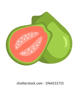 Hand drawn guava, whole and slice. Summer tropical fruit and half, healthy vitamin C source. Vector illustration icon isolated on white.