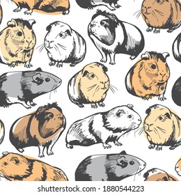 Hand drawn guinea pigs. Vector seamless pattern.