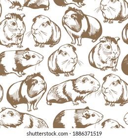 Hand drawn guinea pigs. Vector seamless pattern.