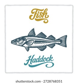 Hand drawn Haddock fish illustration in vintage engraving style with lettering. Perfect for seafood design, restaurant branding, menus, labels, posters, and packaging. Part of set.