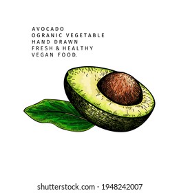 Handgezeichnete Hälfte und geschnitten Avocado. Vektorfarbene, gravierte Illustration. Natürliches Gemüse aus Orgonien. Nahrungsgesunde Zutaten. Kosmetische Verpackung, Heilkräuter, Behandlung, Gesundheitsversorgung