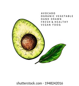 Hand drawn half and sliced avocado. Vector colored engraved illustration. Natural orgainc vegetable. Food healthy ingredient. For cooking, cosmetic package design, medicinal herb, treating, healtcare