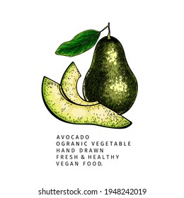 La mano dibujó la mitad y cortó el aguacate. Ilustración grabada de color vectorial. Hortalizas de origen natural. Alimentos saludables. Para cocinar, diseño de paquetes cosméticos, hierba medicinal, tratamiento, atención médica