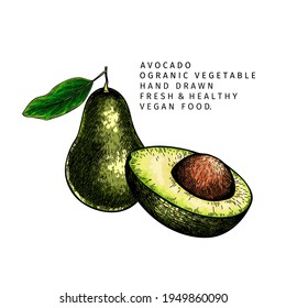 Handgezeichnete Hälfte und geschnitten Avocado. Vektorfarbene, gravierte Illustration. Natürliches Gemüse aus Orgonien. Nahrungsgesunde Zutaten. Kosmetische Verpackung, Heilkräuter, Behandlung, Gesundheitsversorgung