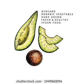 Hand drawn half and sliced avocado. Vector colored engraved illustration. Natural orgainc vegetable. Food healthy ingredient. For cooking, cosmetic package design, medicinal herb, treating, healtcare