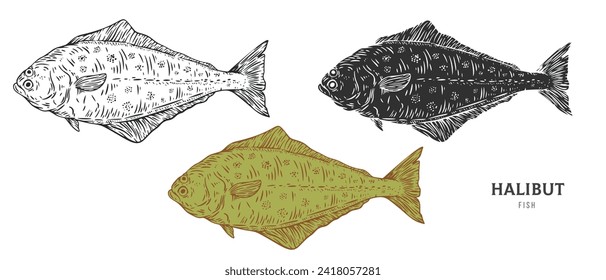 Hand drawn halibut fish isolated on white background. Set cartoon element in outline, monochrome and color version. Vector illustration in retro vintage engraving style.