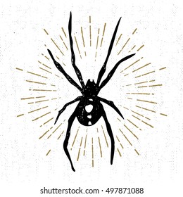 Hand Drawn Halloween Icon With A Textured Black Widow Spider Vector Illustration.