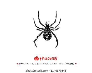 Hand drawn Halloween poster - vector