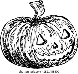 Hand Drawn Halloween pumpkin doodle. Sketch style icon. Decoration element. Isolated on white background. Flat design. Vector illustration.
