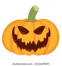 hand drawn halloween pumpkin illustration