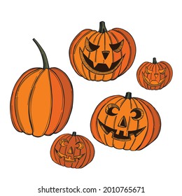 Hand drawn Halloween  pumpkins. Vector sketch  illustration.