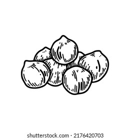 Hand drawn handful of chickpeas beans. Botany vector illustration in sketch style