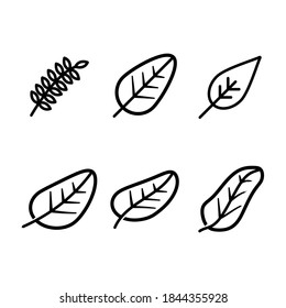 Hand drawn, handmade, doodle, rough. Medical plant, simple logo, thin line, can be used for many purposes, outline, mobile application isolated on white background EPS Vector