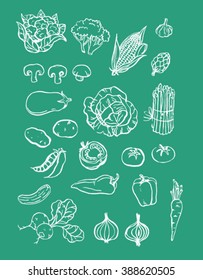 hand drawn handmade white outline drawing with grocery store vegetables illustration with turquoise green background