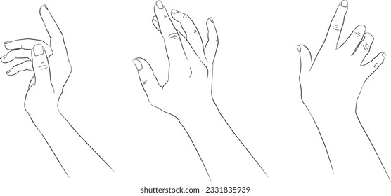 Las manos dibujadas a mano aisladas sobre fondo blanco. Esbozo lineal de manos hembras dibujadas a mano. Silueta negra de fondo blanco. Ilustración del vector