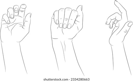 Hand drawn hands set. Hand drawn female hands empty contour isolated on white background. Vector illustration
