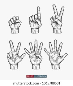 Hand drawn hands set. Zero, one, two, three, four, five gestures. Template for your design works. Engraved style vector illustration.