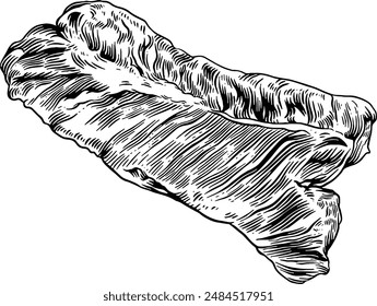 Hand drawn Hanger Steak Beef Sketch illustration