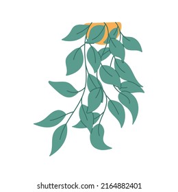 Hand drawn hanging house plant, flat vector illustration isolated on white background. Potted plant with green leaves hanging down. Cute indoor plant in yellow pot.