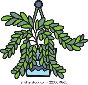 Hand Drawn hanging plant pots illustration isolated on background