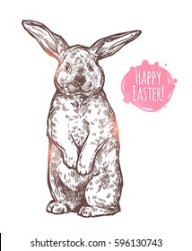 Hand Drawn Happy Easter Cute Rabbit. Sketch Greeting Monochrome Illustration