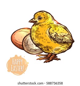 Hand Drawn Happy Easter Wicker Chicken With Eggs. Sketch Greeting Illustration