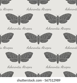 Hand drawn hawk moth vector seamless pattern