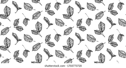 Hand drawn hazel leaves seamless pattern, black ink drawing sketch vector illustration on white background.