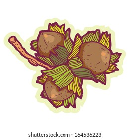 Hand drawn hazel nut cartoon vector.