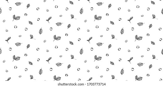 Hand drawn hazelnuts seamless pattern, black ink drawing sketch vector illustration on white background.