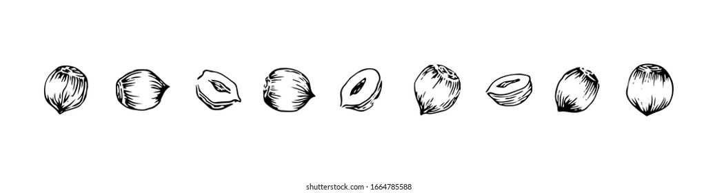 Anuncios dibujados a mano, dibujo tintas ilustraciones vectoriales, ilustración aislada en negro sobre fondo blanco.