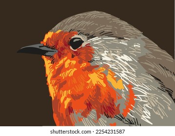 hand drawn head bird collection vector illustration