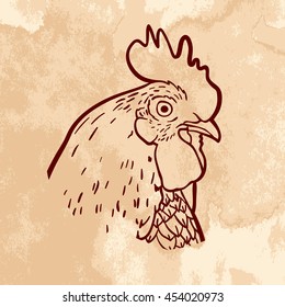 Hand drawn head of cockerel on grunge brown background. Art vector illustration