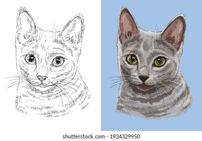 Hand drawn head of cute Russian blue cat. Vector black and white and colorful isolated illustration of horse. For decoration, coloring book, design, prints, posters, postcards, stickers,tattoo,t-shirt