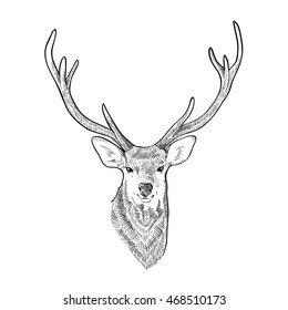 reindeer head illustration