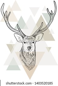  Hand drawn head  deer. Scandinavian style