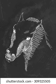 Hand drawn head horse. Vector illustration