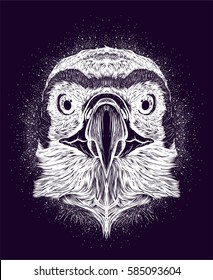 Hand drawn head of predator bird. Owl, condor. Vector isolated illustration. Sketch for tattoo. Design for print t-shirt.