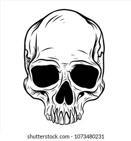 Hand drawn head skull with line art