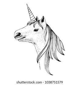 Cabeza dibujada a mano de unicornio aislada en fondo blanco. Ilustración del vector