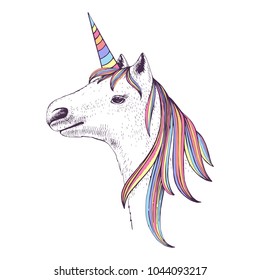Hand drawn head of unicorn iwith colorful mane and horn. Vector illustration