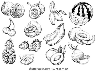 Hand drawn Healthy exotic summer fruit, sketch