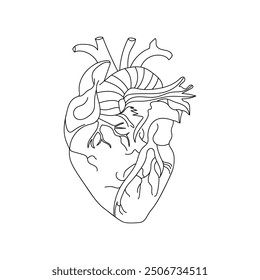 Ilustración vectorial dibujada a mano del dibujo del corazón