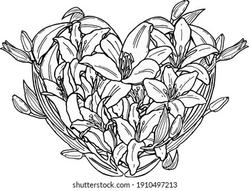 Hand drawn heart ofblooming  lilies, leafs  and buds in ink style
