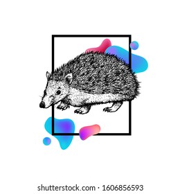 Hand drawn hedgehog with frame and abstraction. Abstract illustration for t-shrt. Modern style. Graphic design. Black and white drawing mammal. Vector sketch. Forest animal.