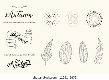 Hand drawn of Hello Autumn