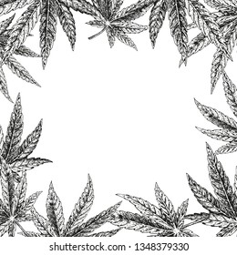 Hand drawn hemp background. Cannabis leaf. Sketch of marijuana. Black and white graphic layout design for packaging. Vector illustration.