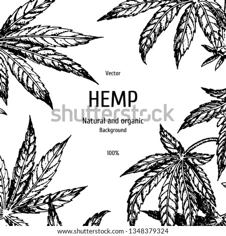 Hand drawn hemp background. Cannabis leaf. Sketch of marijuana. Black and white graphic layout design for packaging. Vector illustration.